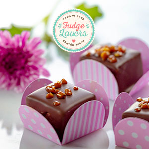 Fudge gourmet